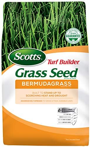 Scotts Turf Builder Grass Seed Bermudagrass - 1 lb., Use in Full Sun, High Drought Resistance, Seed New Lawn or Overseed Existing Lawn, Seeds up to 1,000 sq. ft. by Unknown