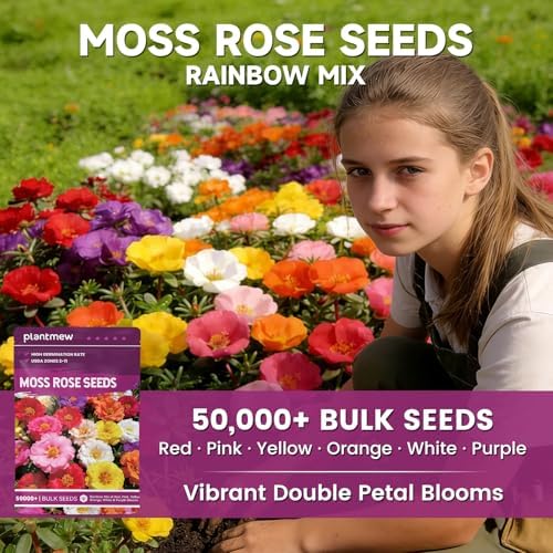 Moss Rose Seeds Bulk Pack - 50,000+ Heirloom Portulaca Seeds for Planting Outdoors, Rainbow Color Mix, Drought-Tolerant Ground Cover & Container Flowers, USDA Zones 2-11 - Image 2