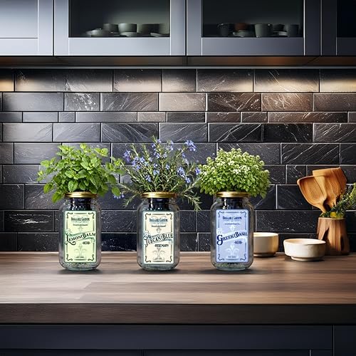 Chef’s Herb Garden Mason Jar Grow Kit (3 Pack) – Tuscan Blue Rosemary, Greek Basil & Lemon Balm – Indoor Hydroponic Herb Growing Kit – Windowsill Kitchen Herb Garden - Image 2