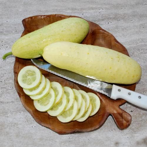 Cucumber Seeds - White Wonder - Vegetable Seeds, Heirloom Seed, Packet by EdenBrothers