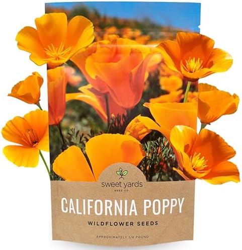 California Orange Poppy Wildflower Seeds - Bulk 1/4 Pound Bag - Over 80,000 Native Seeds - California State Flower! by SweetYards
