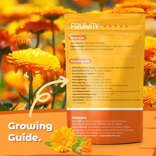 Calendula Seeds 1 oz (Over 3,500+ Seeds) – Heirloom Calendula Seeds for Planting, Easy to Grow, Attracts Pollinators Butterflies & Bees, Ideal for Borders, Containers & Cottage Gardens - Image 3