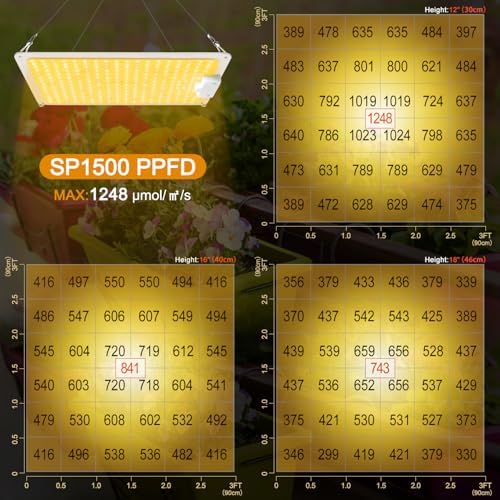 LED Grow Light, SP1500 Sunlike Full Spectrum Dimmable Plant Lights with Thermometer, Growing Lamps for Indoor Plants Seedlings Veg Bloom 4.5x4.5ft - Image 3