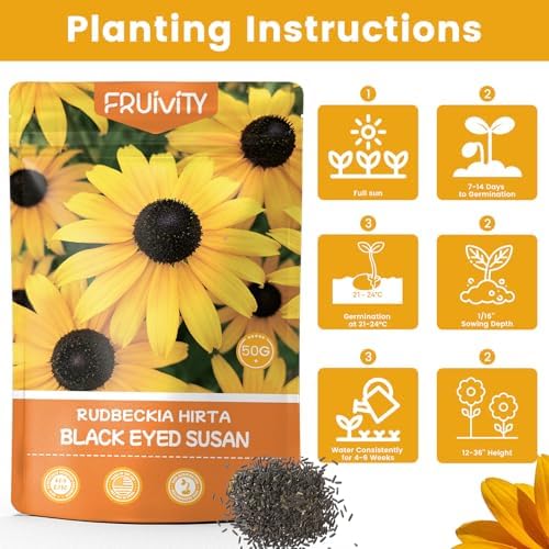 120000+ Black Eyed Susan Seeds for Planting, Heirloom Rudbeckia Hirta Wildflower Seeds for Outdoor Gardens, Pollinator Beds, Borders & Containers, Attracts Bees and Butterflies - Image 6