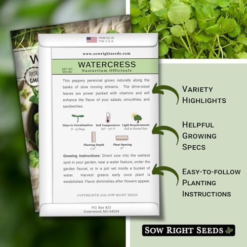 Sow Right Seeds - Watercress Seed for Planting Perennial Water Cress - Image 2
