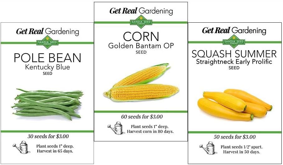 Three Sisters Garden Seed Collection, Native American Companion Plants - Corn, Pole Bean, Squash Seeds by SandiaSeedCompany