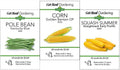 Three Sisters Garden Seed Collection, Native American Companion Plants - Corn, Pole Bean, Squash Seeds by SandiaSeedCompany