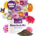 Groundio Zinnia Seeds, 3000+ Mixed Colors Large Blooms Seeds, Non GMO Zinnia Elegans for 2027, High Germination Heirloom Wildflower Seeds for Planting Outdoor, Pollinator Gardens Borders & Containers by Groundio