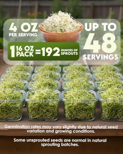 Nature Jim's Sprouts - Organic Radish Seeds for Sprouting – Non-GMO - 16 oz - Image 3