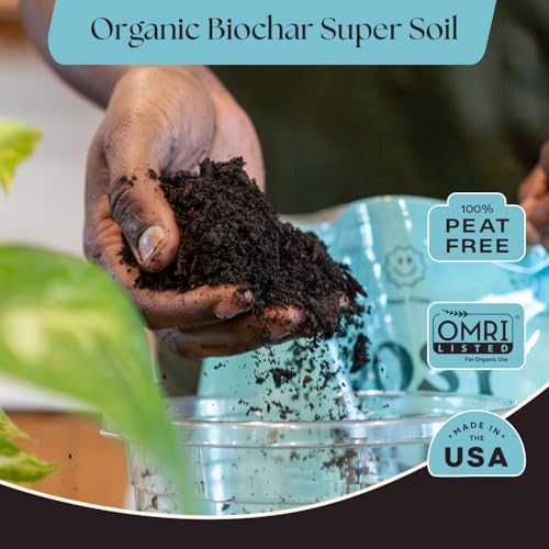 Rosy Soil Houseplant Potting Soil, Organic Indoor Potting Mix, 4 Quarts - Image 2