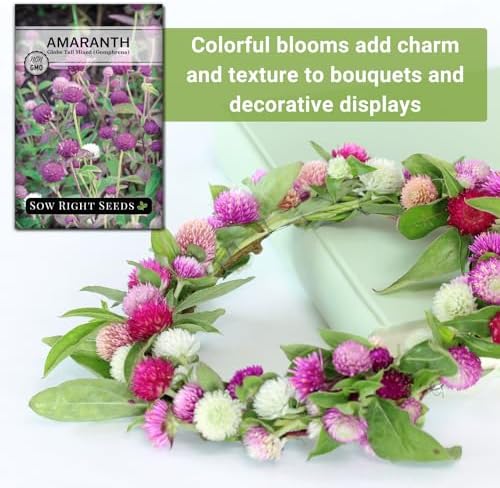 Sow Right Seeds - Tall Mixed Globe Amaranth Seed for Planting Gomphrena 3pk - Image 5