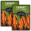 Little Finger Carrot Seeds for Planting – Survival Garden Seeds (2 Pack) by SurvivalGardenSeeds
