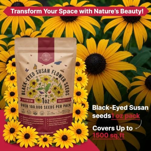 Black Eyed Susan Flower Seeds Pack 1 oz - Over 100,000 Rudbeckia Hirta Seeds Non-GMO Heirloom, Wildflowers in Individual Packet, Home & Garden Planting Indoor & Outdoor Gardening - Image 4