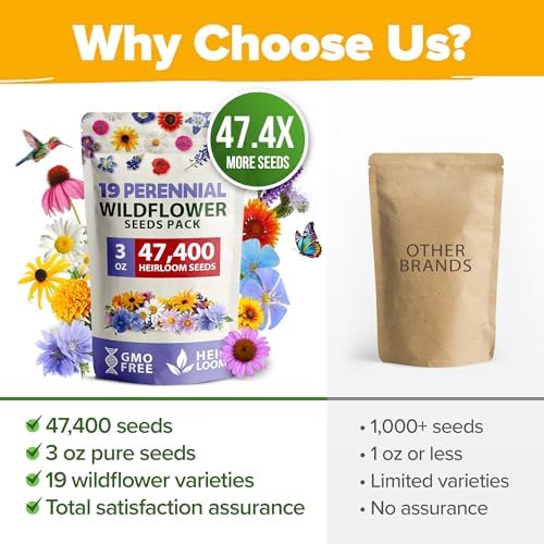 HOME GROWN 19 Wildflower Variety Mix 47,400+ Flower Seeds 3 oz - Image 5