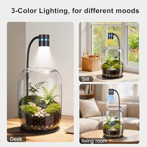 Glass Plant Terrarium with LED Grow Light for Home Office - Image 2
