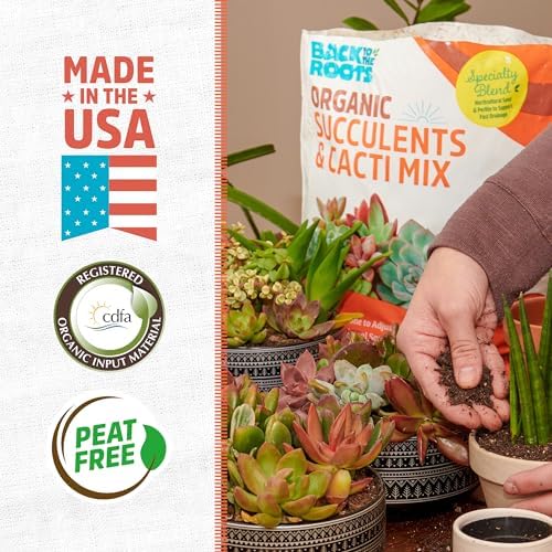 Back to the Roots 100% Organic Succulent & Cacti Mix (6 Quart) | Made in the USA | Premium Nutrition for Indoor and Outdoor Plants - Image 2