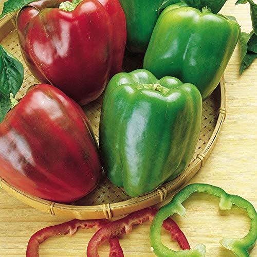 Burpee California Wonder (Organic) Sweet Pepper Seeds 300 seeds by Burpee