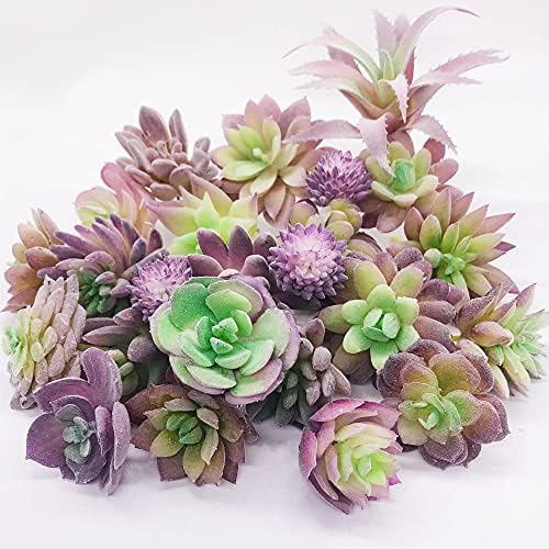 Woohome 25 PCS Artificial Succulent Plants, Purple Fake Succulent Unpotted Faux Succulent Assortment in Flocked in Different Type for Birthday Home Decor Indoor Wall Garden DIY - Image 2