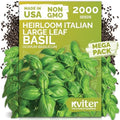 2,000 Italian Basil Heirloom Herb Seeds for Planting, Ocimum Basilicum by KVITER