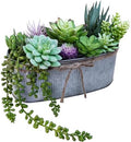 Winlyn 10" Artificial Succulent Arrangement Centerpiece Fake Succulent Plants in Rustic Metal Oval Planter Faux Potted Succulents for Home Office Bedroom Table Windowsill Shelf Mantel Decor by Winlyn