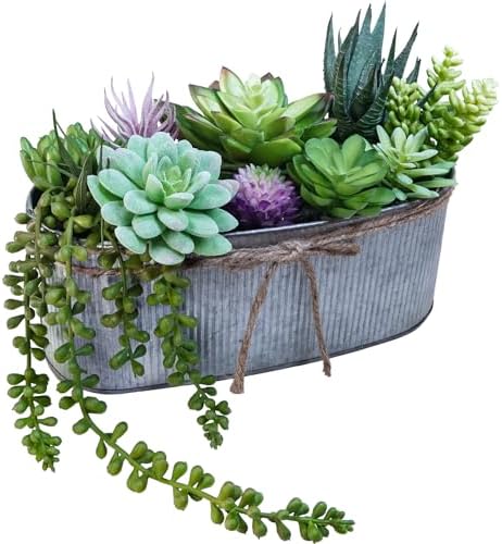 Winlyn 10" Artificial Succulent Arrangement Centerpiece Fake Succulent Plants in Rustic Metal Oval Planter Faux Potted Succulents for Home Office Bedroom Table Windowsill Shelf Mantel Decor by Winlyn