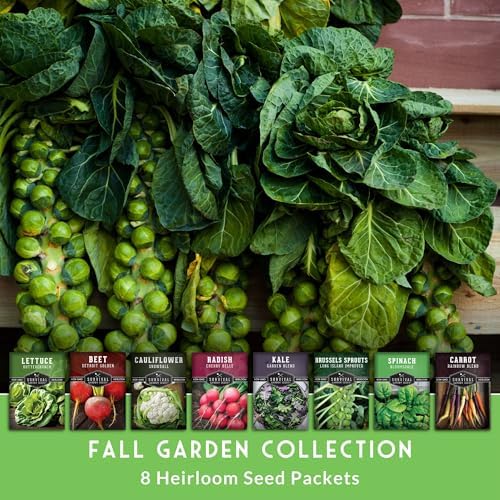 Fall Vegetable Seed Variety Pack for Planting - Image 3