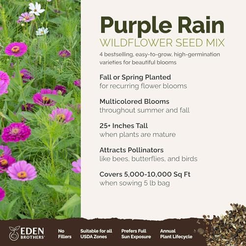 Eden Brothers Purple Rain Flower Mixed Seeds for Planting, 5 lb, 2,400,000+ Seeds with Zinnia Purple Prince & Violet Queen, Cosmos, Attracts Pollinators, Plant in Spring, Zones 3, 4, 5, 6, 7, 8, 9, 10 - Image 2