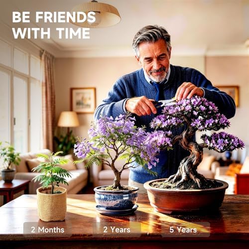 5X Bonsai Starter Kit, Bonzai Seed Kits, Durable Planting Bags, Complete Indoor Starter Kit for Growing Bonsai Plants, Gardening Gifts for Women & Men - Image 4