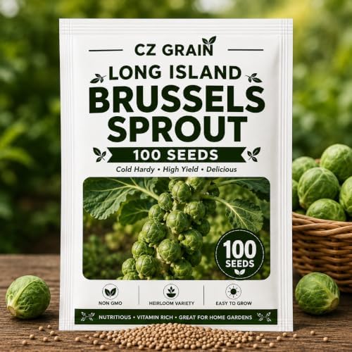 Long Island Brussels Sprouts Seeds | Sweet Heirloom Variety | 100 Seeds by CZGrain