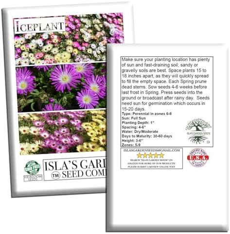 Iceplant Mix Flower Seeds (Dorotheanthus bellidiformis)– 2000+ Heirloom Non-GMO Seeds by Isla’s Garden Seeds, Livingstone Daisy Ice Plant Wildflower Mix, Drought-Tolerant Groundcover Blooms, Sprawling - Image 7