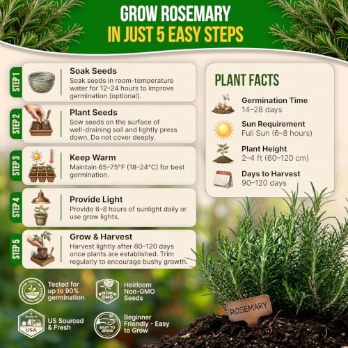 Rosemary Seeds Pack 0.5 G - Over 325 Non-GMO Heirloom Seeds for Planting Herbs in Individual Packet, Home Garden Indoor & Outdoor Gardening - Image 6