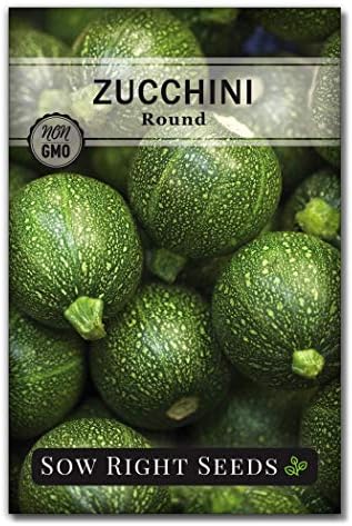 Sow Right Seeds - Round Zucchini Seed for Planting Summer Squash Garden by SowRightSeeds