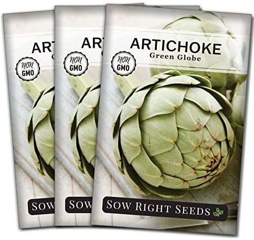 Sow Right Seeds - Green Globe Artichoke Seed for Planting Outdoors 3pk by SowRightSeeds