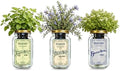 Chef’s Herb Garden Mason Jar Grow Kit (3 Pack) – Tuscan Blue Rosemary, Greek Basil & Lemon Balm – Indoor Hydroponic Herb Growing Kit – Windowsill Kitchen Herb Garden by BraggableGardens