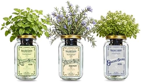 Chef’s Herb Garden Mason Jar Grow Kit (3 Pack) – Tuscan Blue Rosemary, Greek Basil & Lemon Balm – Indoor Hydroponic Herb Growing Kit – Windowsill Kitchen Herb Garden by BraggableGardens