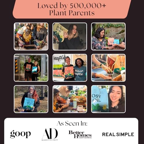 Rosy Soil Cactus & Succulent Potting Mix, 4 Quarts - Image 5