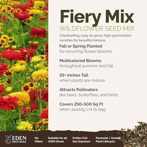 Eden Brothers Fiery Flower Mixed Seeds for Planting, 1/4 lb, 120,000+ Seeds with Zinnia Scarlet Flame, Plains Coreopsis | Attracts Pollinators, Plant in Spring or Fall, Zones 3, 4, 5, 6, 7, 8, 9, 10 - Image 2