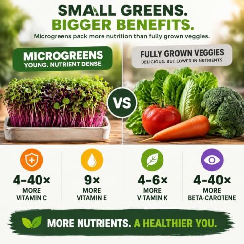 Microgreen Seeds - USA Premium 10 Variety Seeds Pack - Image 4