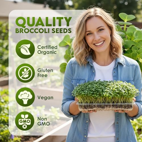 Nature Jim's Sprout Organic Broccoli Seeds – Non-GMO, Sprouting Seeds - 8oz - Image 2