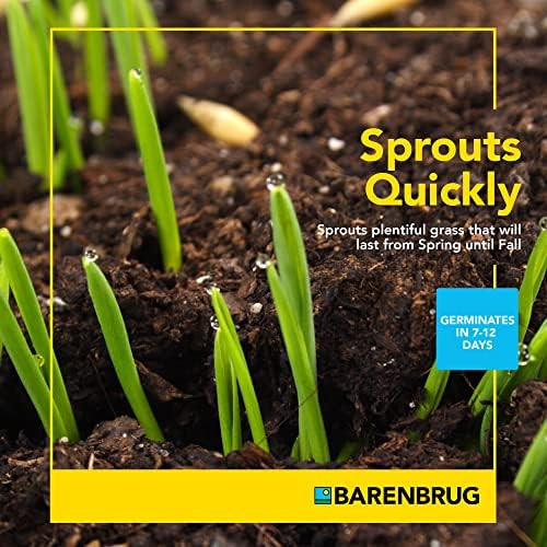 Barenbrug Wonderlawn Sun and Shade Grass Seed Mix for Lawn Care and Landscaping, 3 lbs. Bag - Image 4