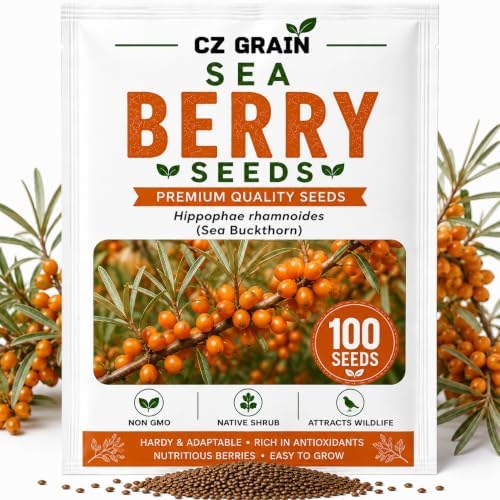 Seaberry Seeds for Planting Hardy Berry Shrub 100 Premium Seeds by CZGrain