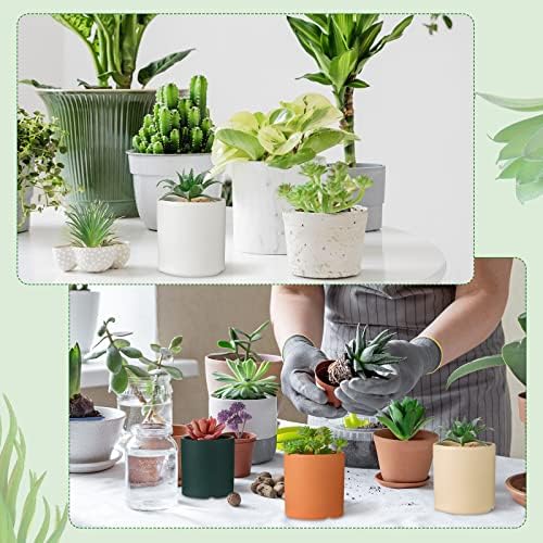 WILLBOND 50 Pcs 50 Pcs Bulk Mini Artificial Succulents Plants, Normal Style - Image 5