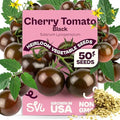 SVI 50 Black Cherry Tomato Seeds (Solanum Lycoperscium) - Black Cherry Tomatoes Seed Packets, Sweet Heirloom Tomato on Vine - Non GMO Vegetable Seeds for Outdoor & Indoor Garden, Containers by SVI