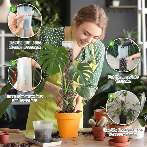 Plastic Moss Pole for Monstera and Climbing Plants (6 PACK-16Inch) - Image 4