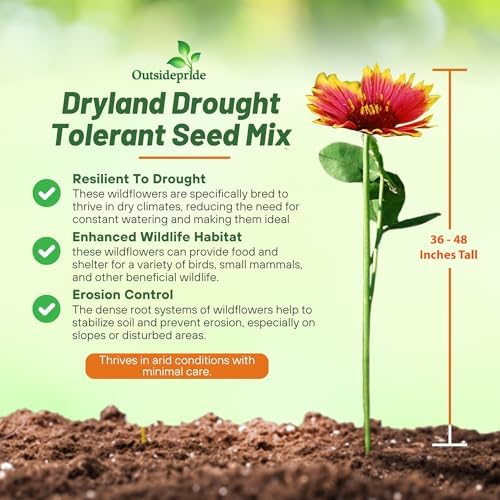 Outsidepride Dryland Wildflower Seed Mix - 5 lbs. Colorful Blend of Drought Tolerant, Annual and Perennial Wildflower Seeds for Attracting Pollinators in Arid States & Xeriscapes - Image 3