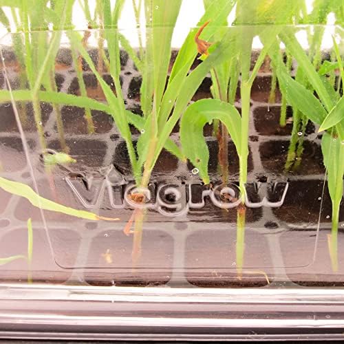 Viagrow VTD300-5, Tall Humidity Dome, Propagation Dome, Clear Plastic Tall Dome (5 Pack) - Image 6