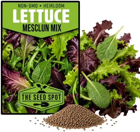 16000+ Lettuce Mix Seeds for Planting - Heirloom Non GMO by Unknown