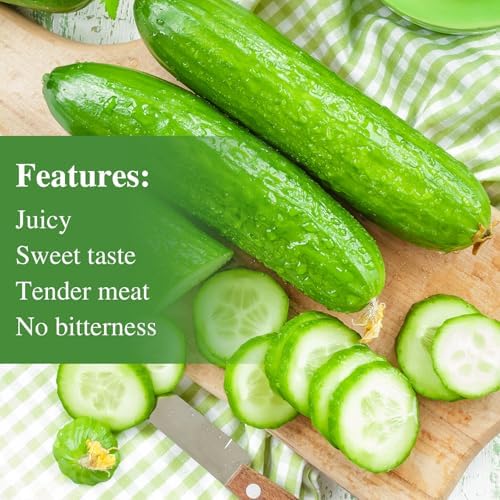 Groundio Cucumber Seeds - 50 Heirloom Non-GMO Seeds for Planting Outdoors in Trellises, Raised Beds, Space Gardens - Pickling and Slicing Straight Eight Cucumbers - Image 4