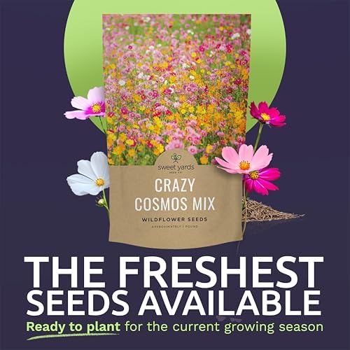 Bulk Cosmos Seeds Wildflower Mixture - 1 Pound Bag - Over 80,000 Seeds - Pink, Yellow, Orange, Red, Purple and White Mixed Species! - Image 2