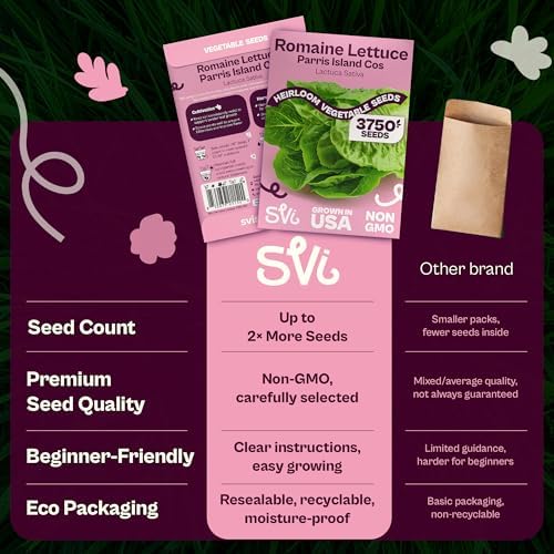 SVI 3750 Parris Island Cos Romaine Lettuce Seeds (Lactuca Sativa) – Green Leaf Lettuce Romaine Seed Packets – Disease Resistant, Heirloom Vegetable Seeds for Outdoor Vegetable Garden - Image 6